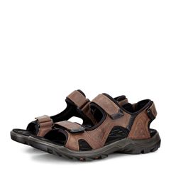  Offroad Lite M