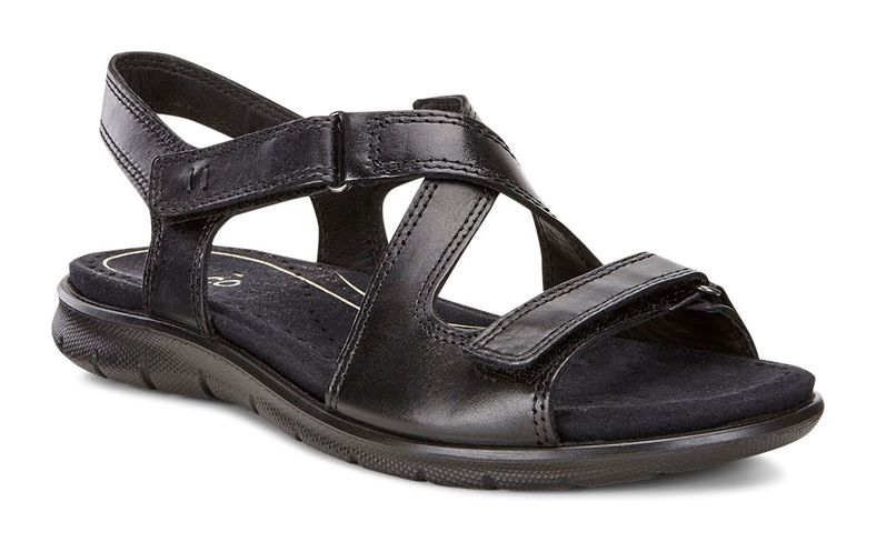  Babett Sandal (Siyah)