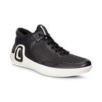  Intrinsic 3 M