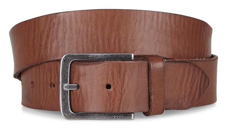 ECCO Edward Casual Belt (棕色)