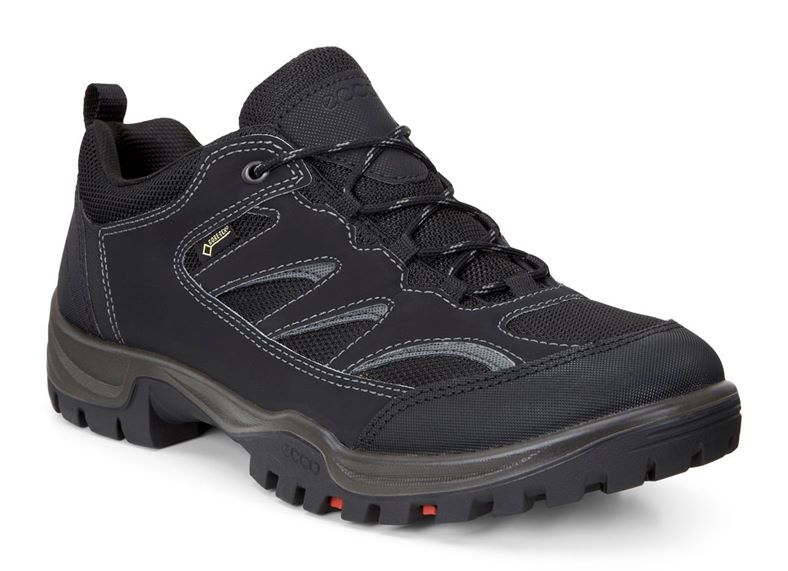  Xpedition III M (Black)