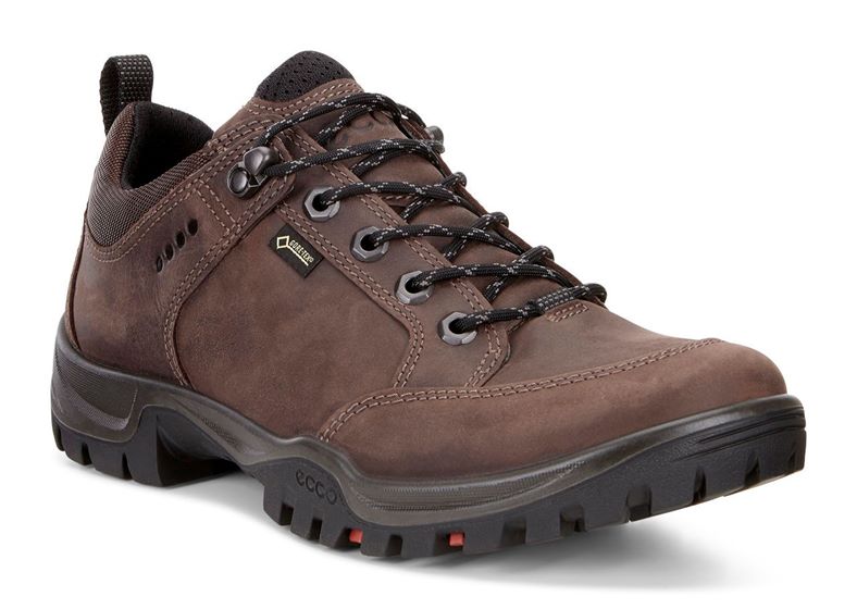 XPEDITION  III MEN (Brown)