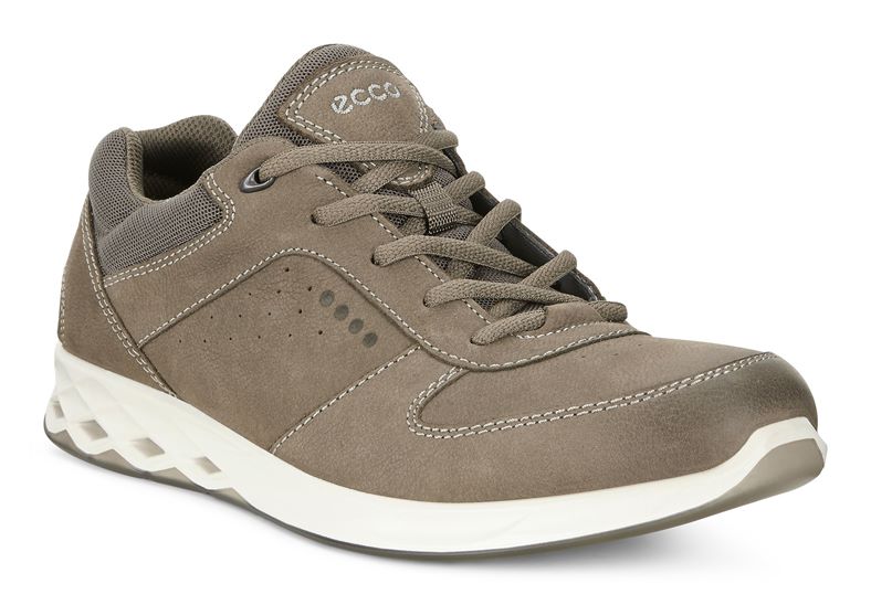 WAYFLY M (Brown)