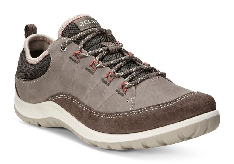  Aspina (Grey)