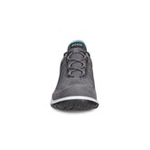  Aspina (Metallic)