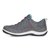  Aspina (Metallic)