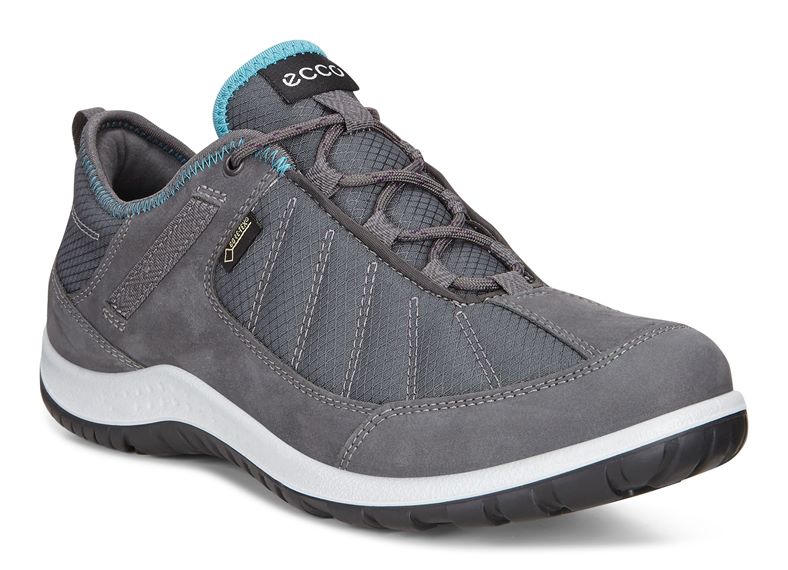  Aspina (Metallic)