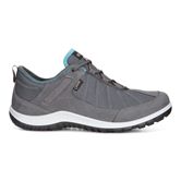  Aspina (Metallic)