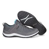  Aspina (Metallic)