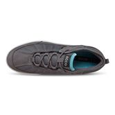  Aspina (Metallic)