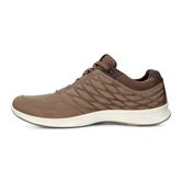 EXCEED MEN'S (Brown)