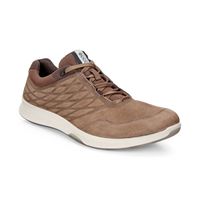 EXCEED MEN'S (Brown)