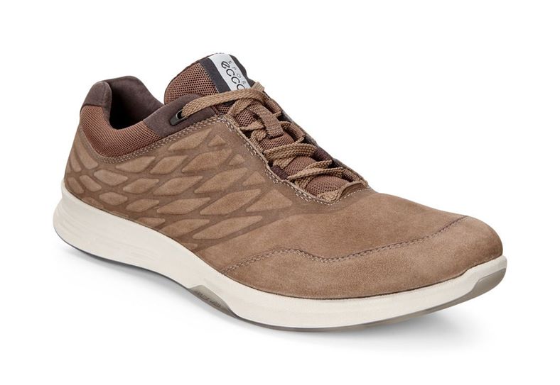 EXCEED MEN'S (Brown)