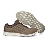 EXCEED MEN'S (Brown)