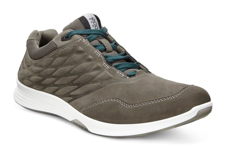 EXCEED MEN'S (Grey)
