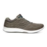 EXCEED MEN'S (Grey)