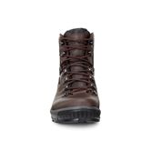 BIOM HIKE (Brown)