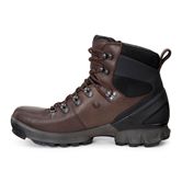 BIOM HIKE (Brown)