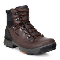 BIOM HIKE (Brown)