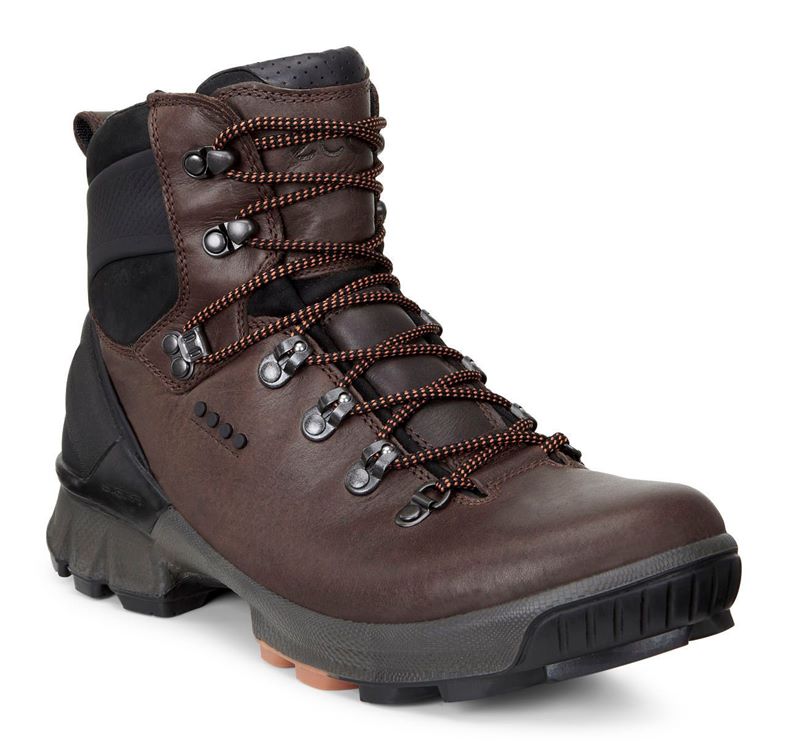 BIOM HIKE (Brown)