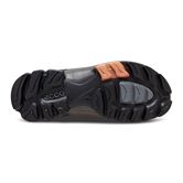 BIOM HIKE (Brown)