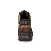 TERRA EVO (Brown)
