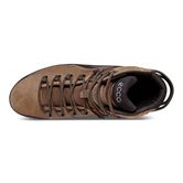 TERRA EVO (Brown)