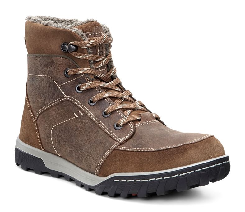  Urban Lifestyle (Brown)