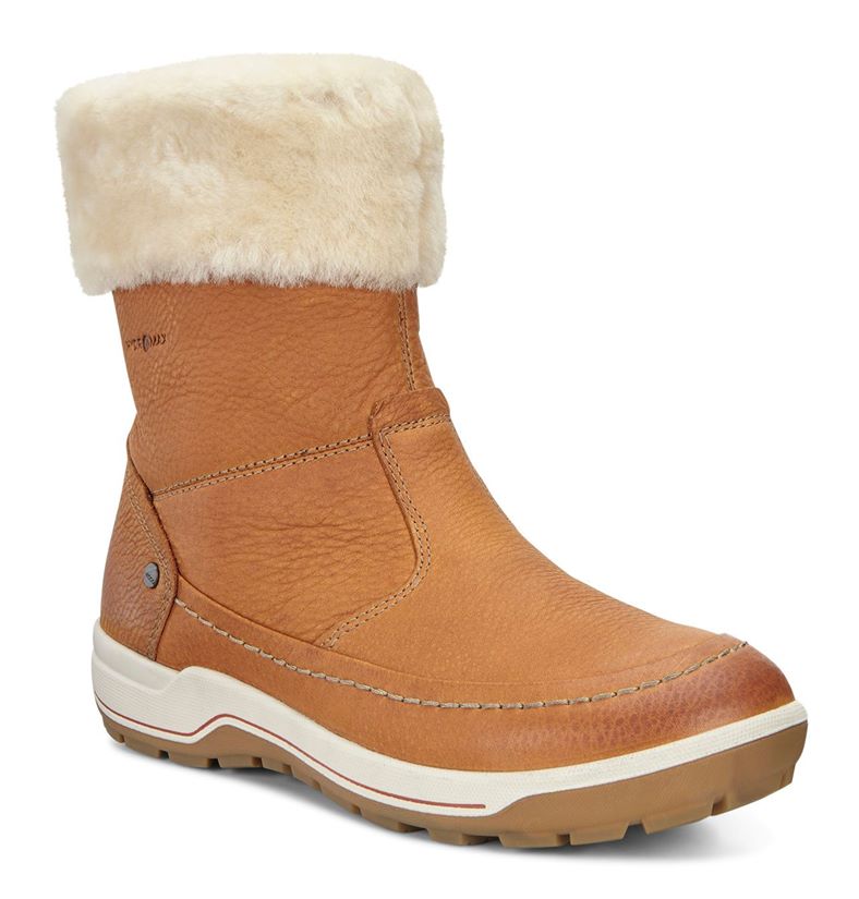  Trace Lite (Brown)