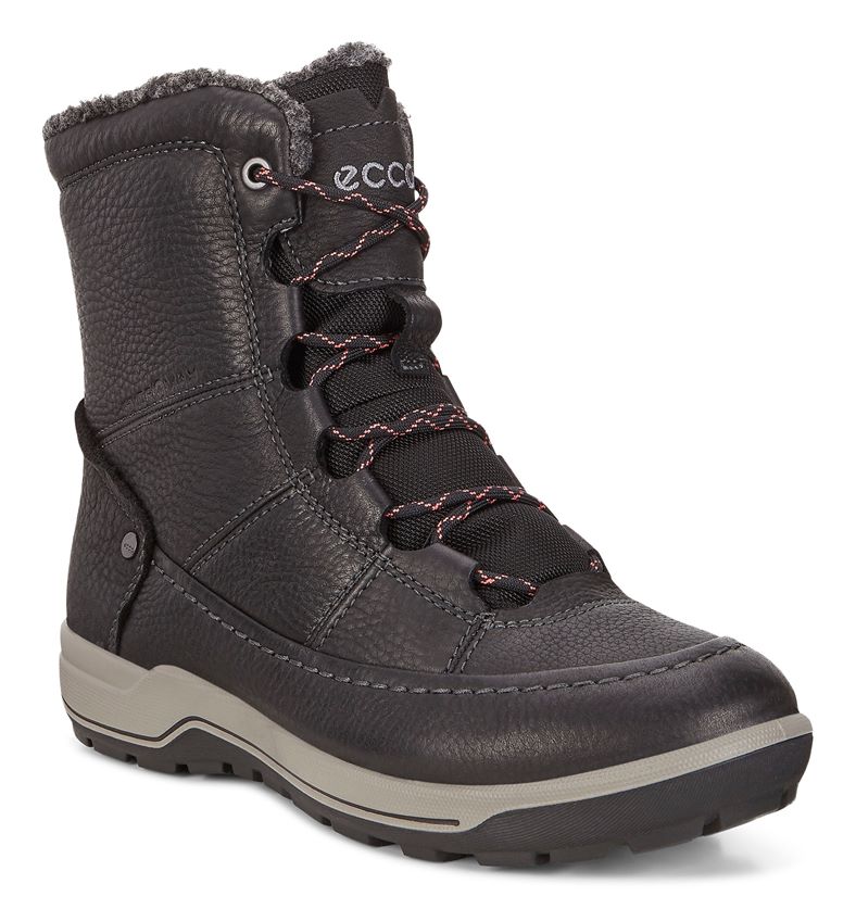 TRACE LITE (Black)