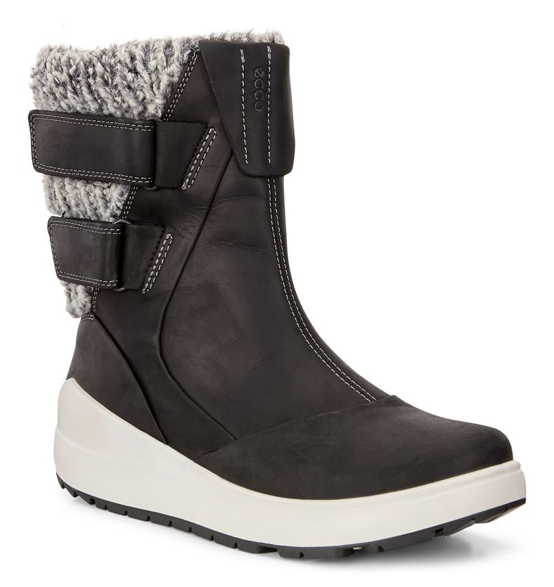  Noyce (Black)