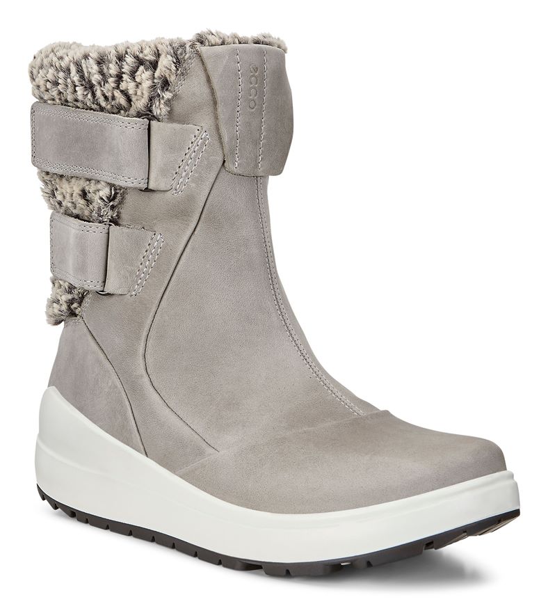  Noyce (Grey)