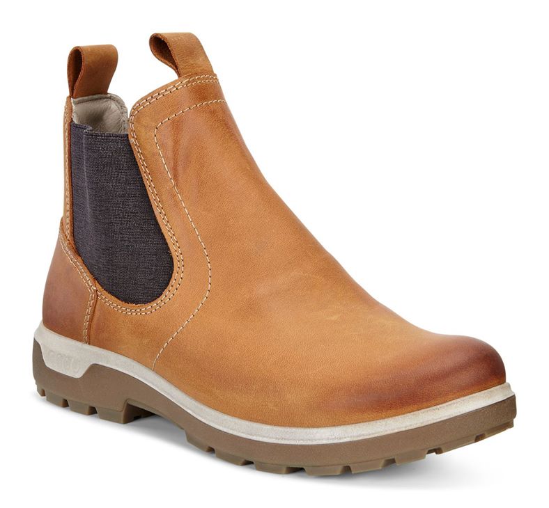  Gora (Brown)