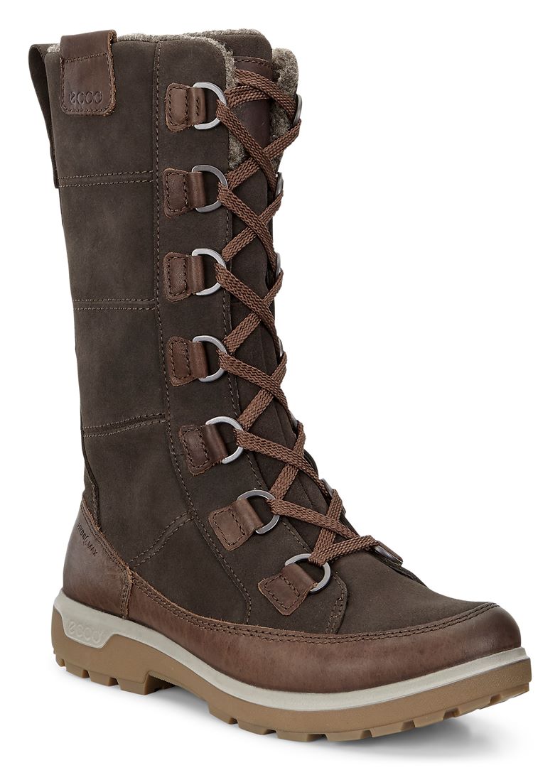  Gora (Brown)