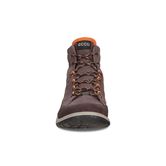  Aspina (Brown)
