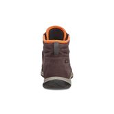  Aspina (Brown)