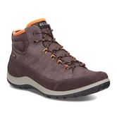  Aspina (Brown)
