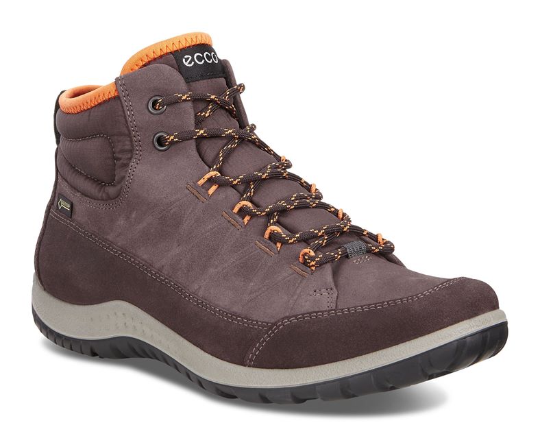  Aspina (Brown)