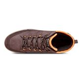  Aspina (Brown)