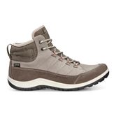ASPINA (Grey)