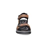  Offroad (Brown)