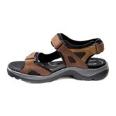  Offroad (Brown)