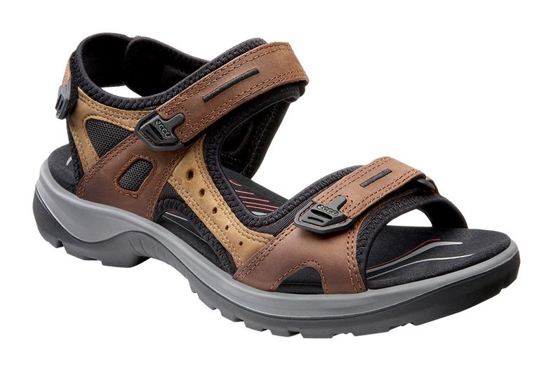  Offroad (Brown)