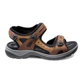  Offroad (Brown)
