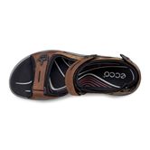  Offroad (Brown)