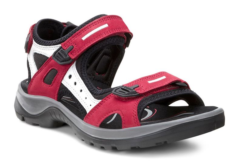 OFFROAD (Red)