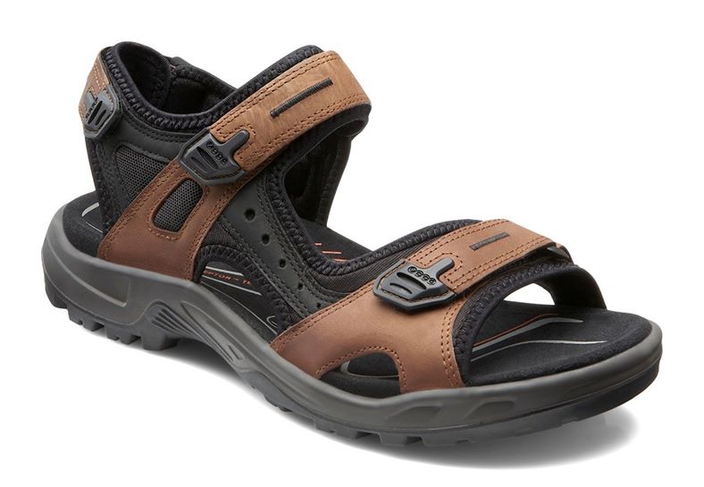 OFFROAD (Brown)