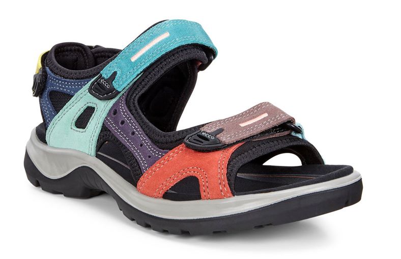 OFFROAD (Multicolor)