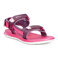 INTRINSIC LITE (Purple)