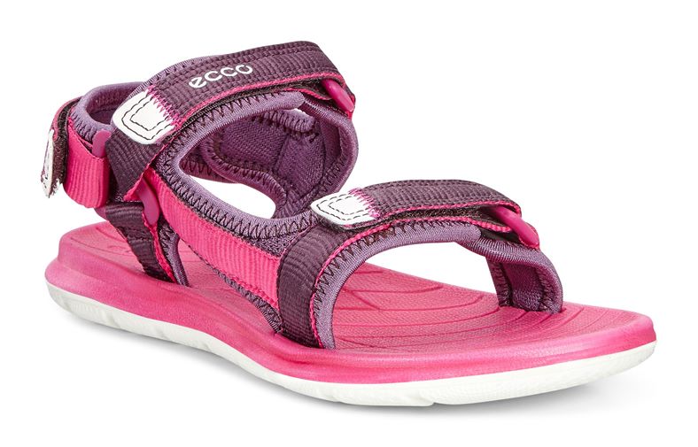 INTRINSIC LITE (Purple)